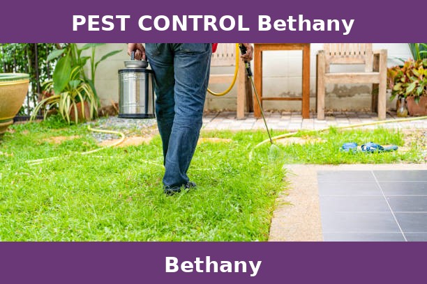PEST CONTROL Bethany